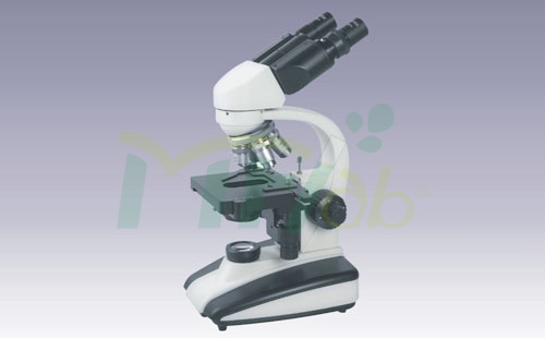MF5307 Microscope